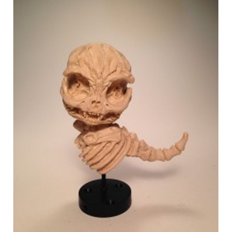 Kitten Skeleton (Bone) by Scott Wilkowski