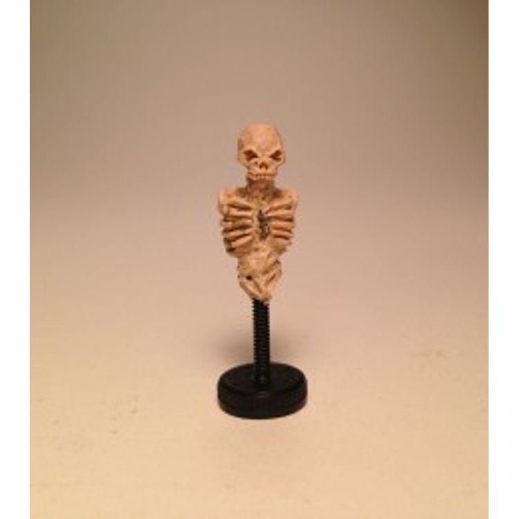 Micro Skeleton (Bone) by Scott Wilkowski