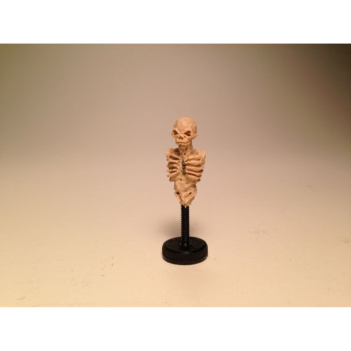 Micro Skeleton (Bone)