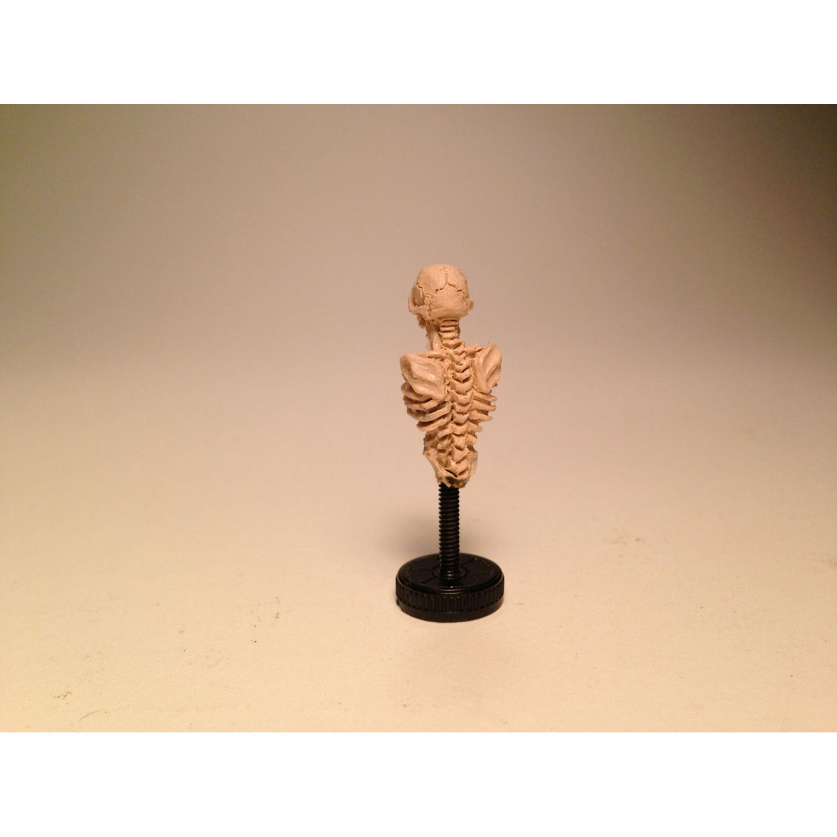 Micro Skeleton (Bone)