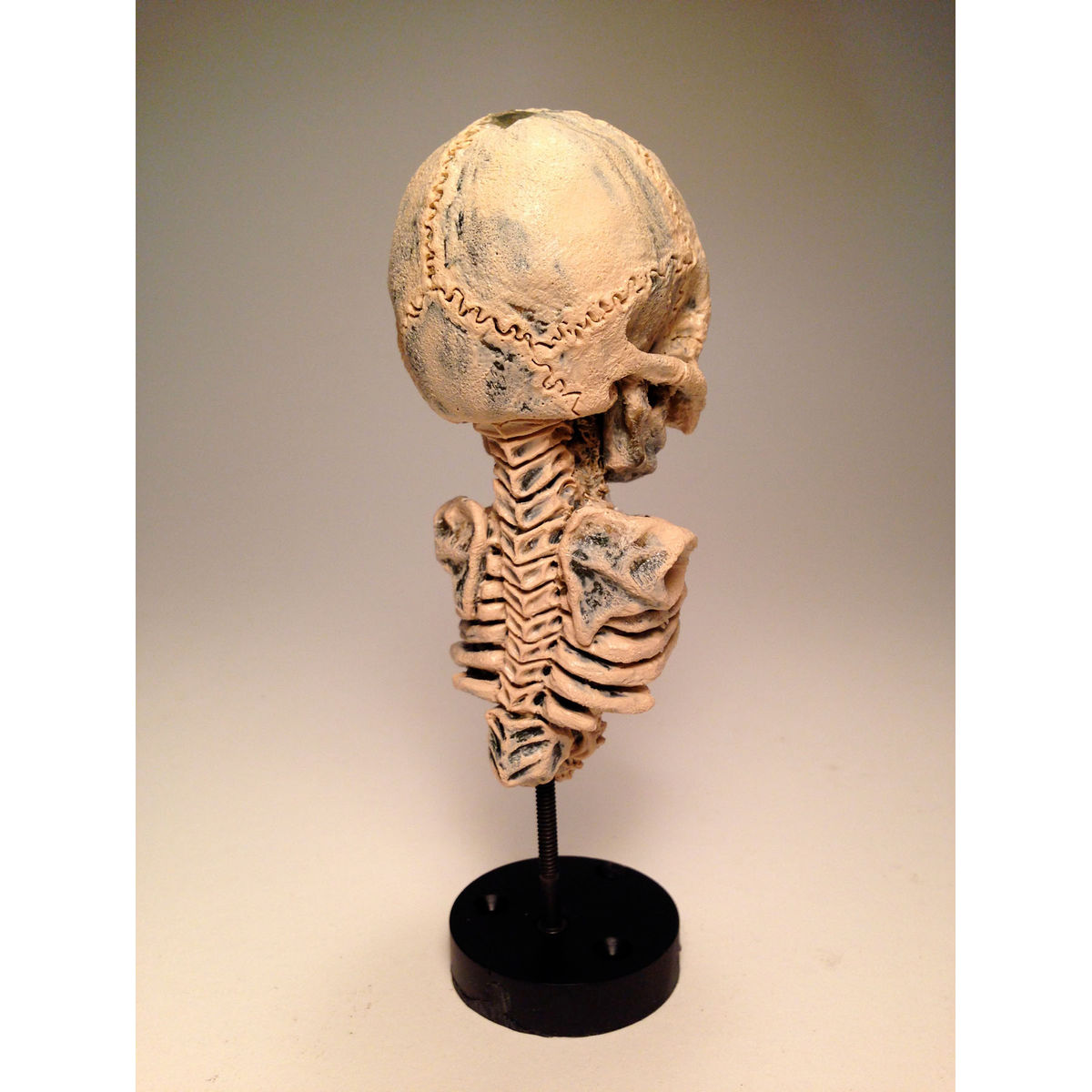 Rebirth Skeleton I (Dirty Bone)