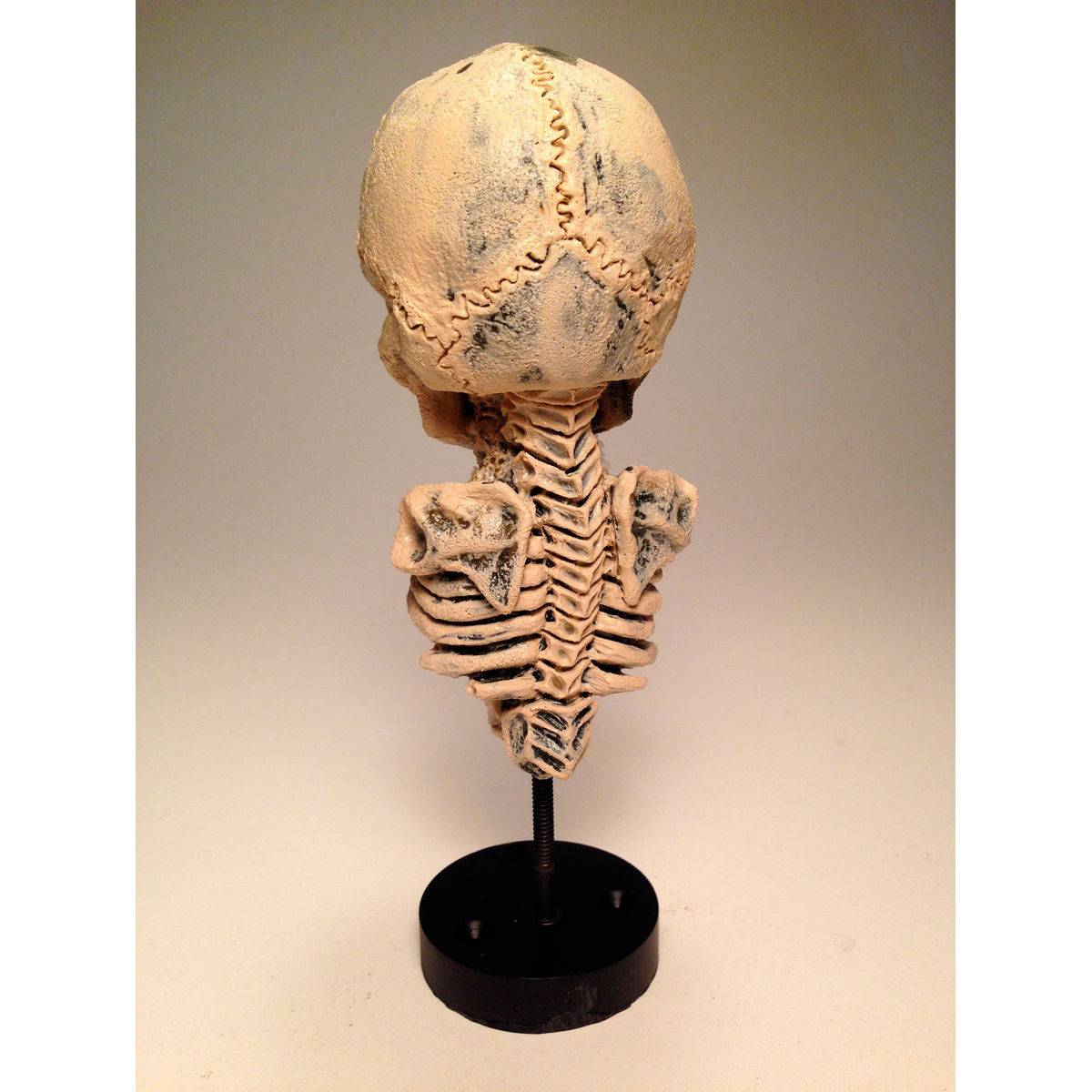 Rebirth Skeleton I (Dirty Bone)