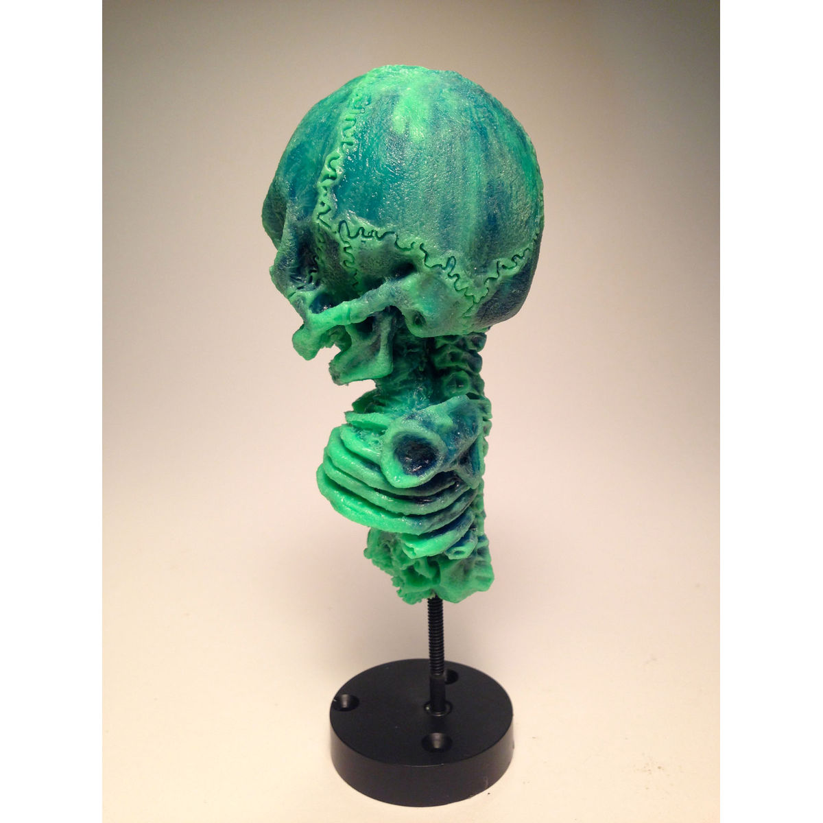 Rebirth Skeleton I (Green/Blue)