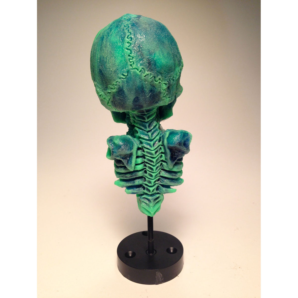 Rebirth Skeleton I (Green/Blue)