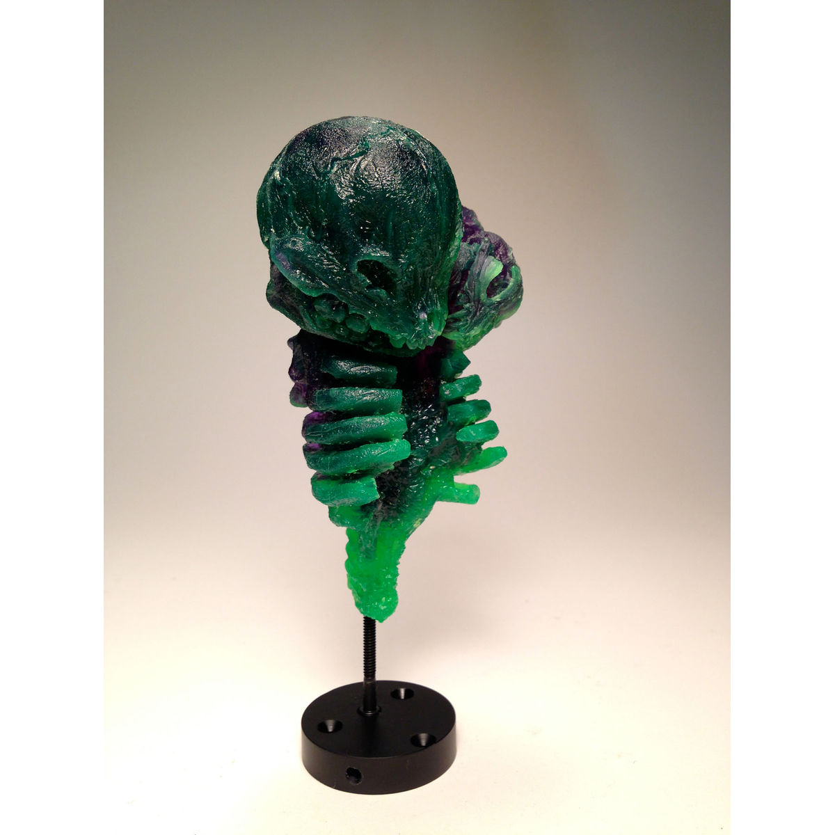 Siamese (Purple/Green)