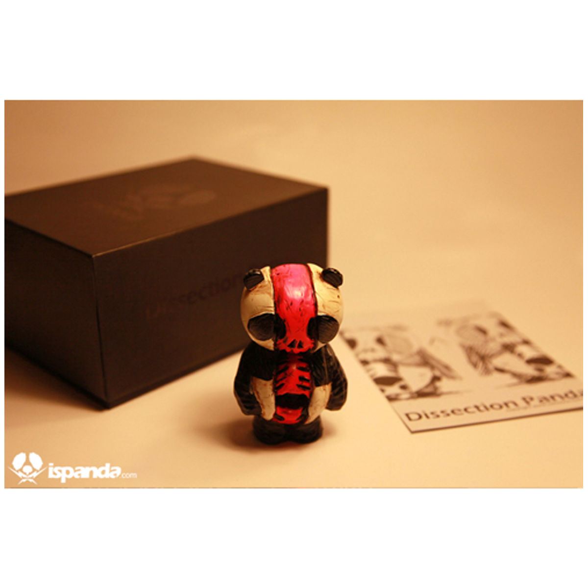 Cacooca Dissection Panda