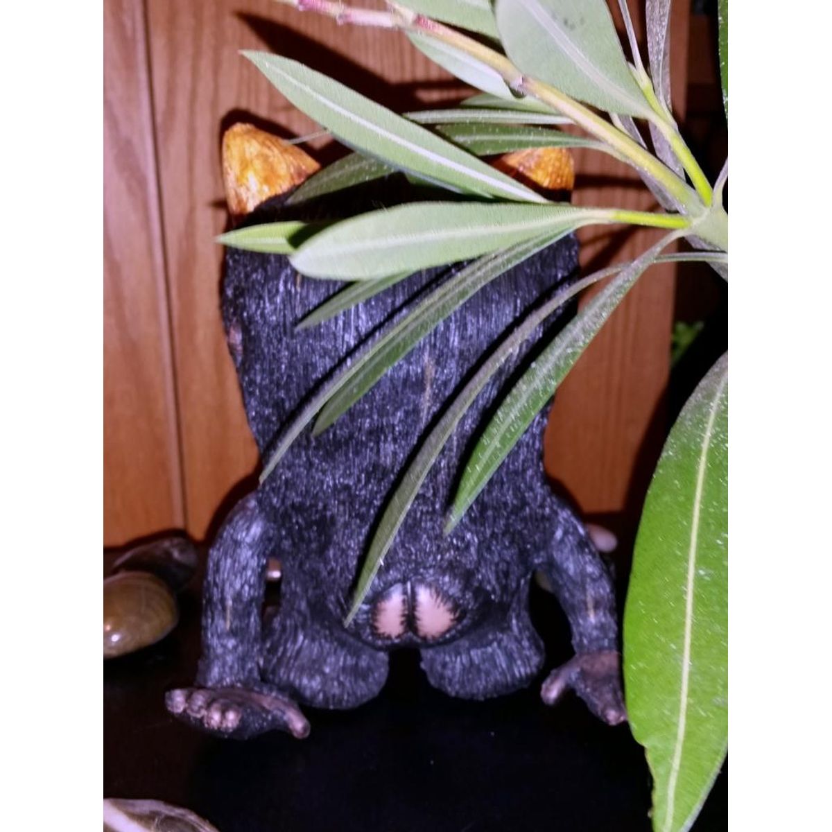 The All Seeing Sasquatch AKA Small Buns