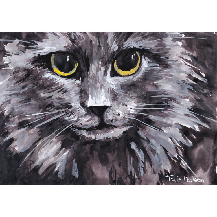 Cat by tracie Mcvean