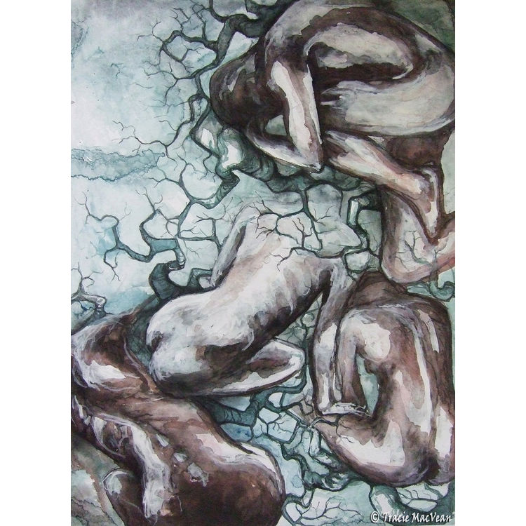 The Shame 2 by tracie Mcvean