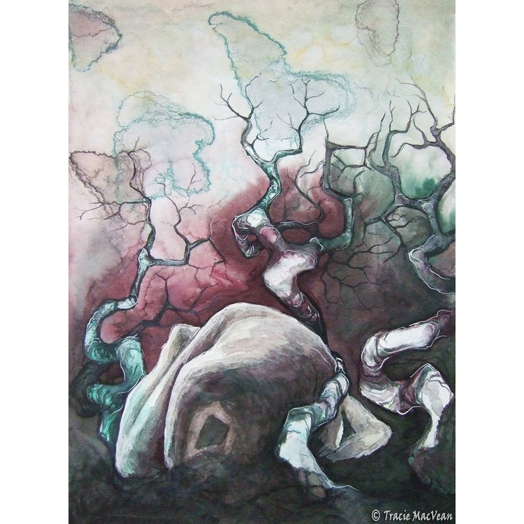 The Shame by tracie Mcvean