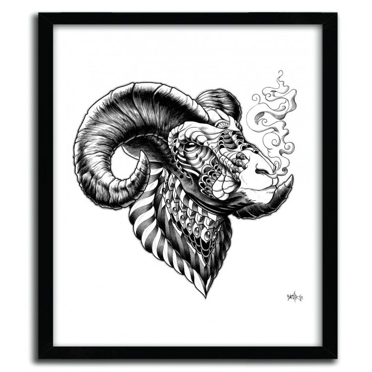 BIGHORN by Bioworkz