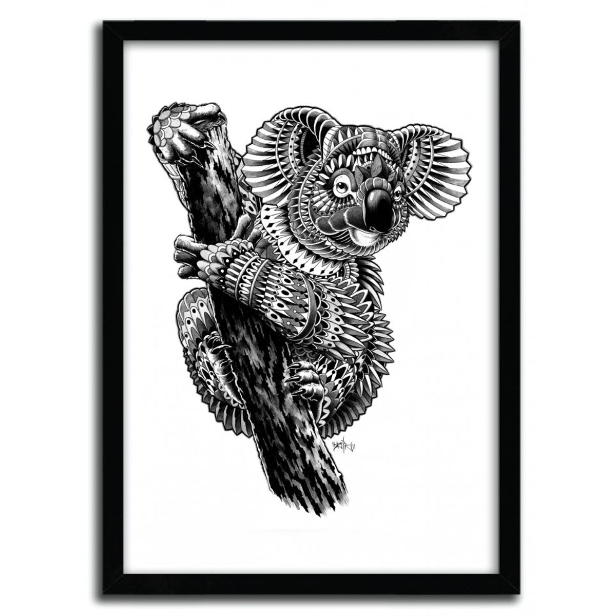 ORNATE KOALA