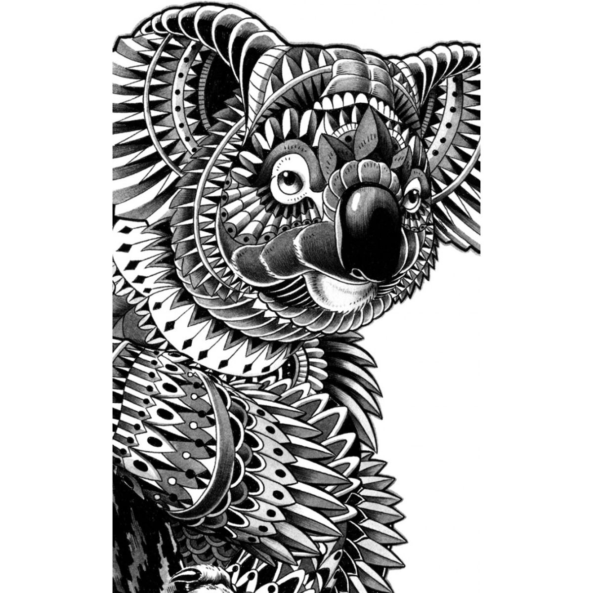 ORNATE KOALA