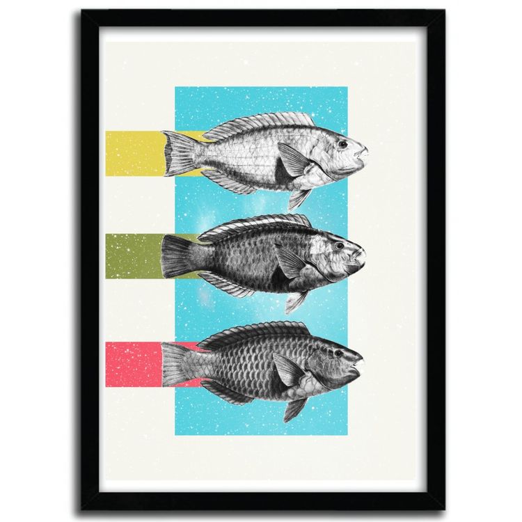 FISHES by Danny Ivan