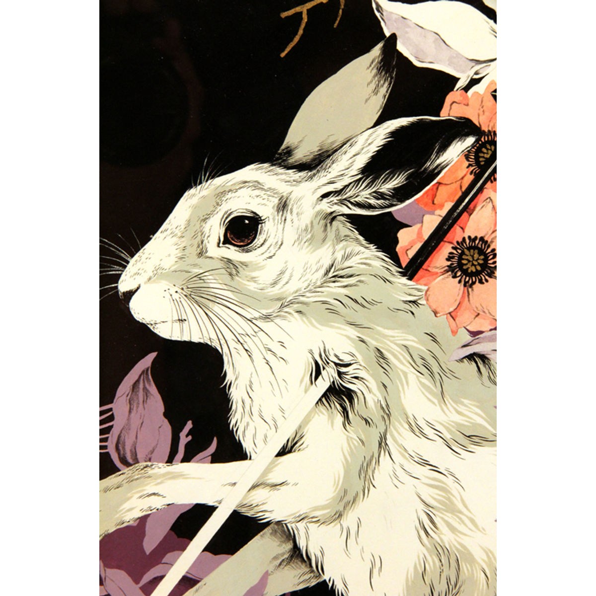 HELLEBORE, MILKWEED, HARE (THIS WON'T LAST VERY LONG)