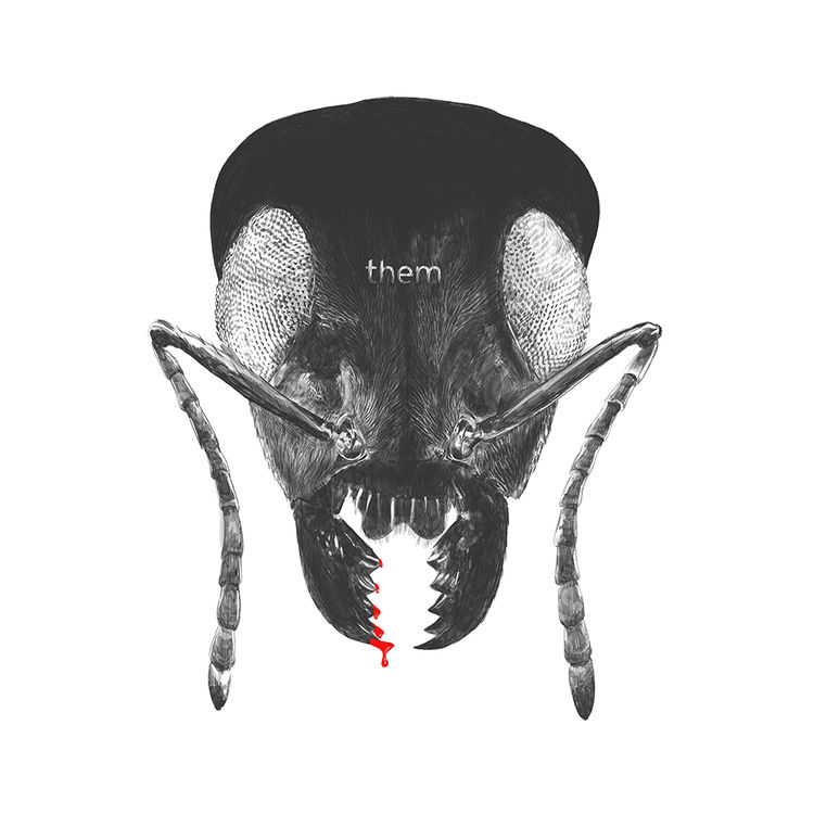 Them by Raid71 (Chris Thornley)