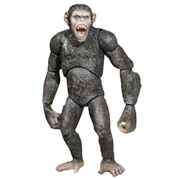 Rise of the Planet Of The Apes - Caesar by Pierre Boulle