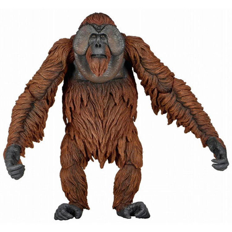 Dawn of the Planet of the Apes Series 1 - Morris by Pierre Boulle