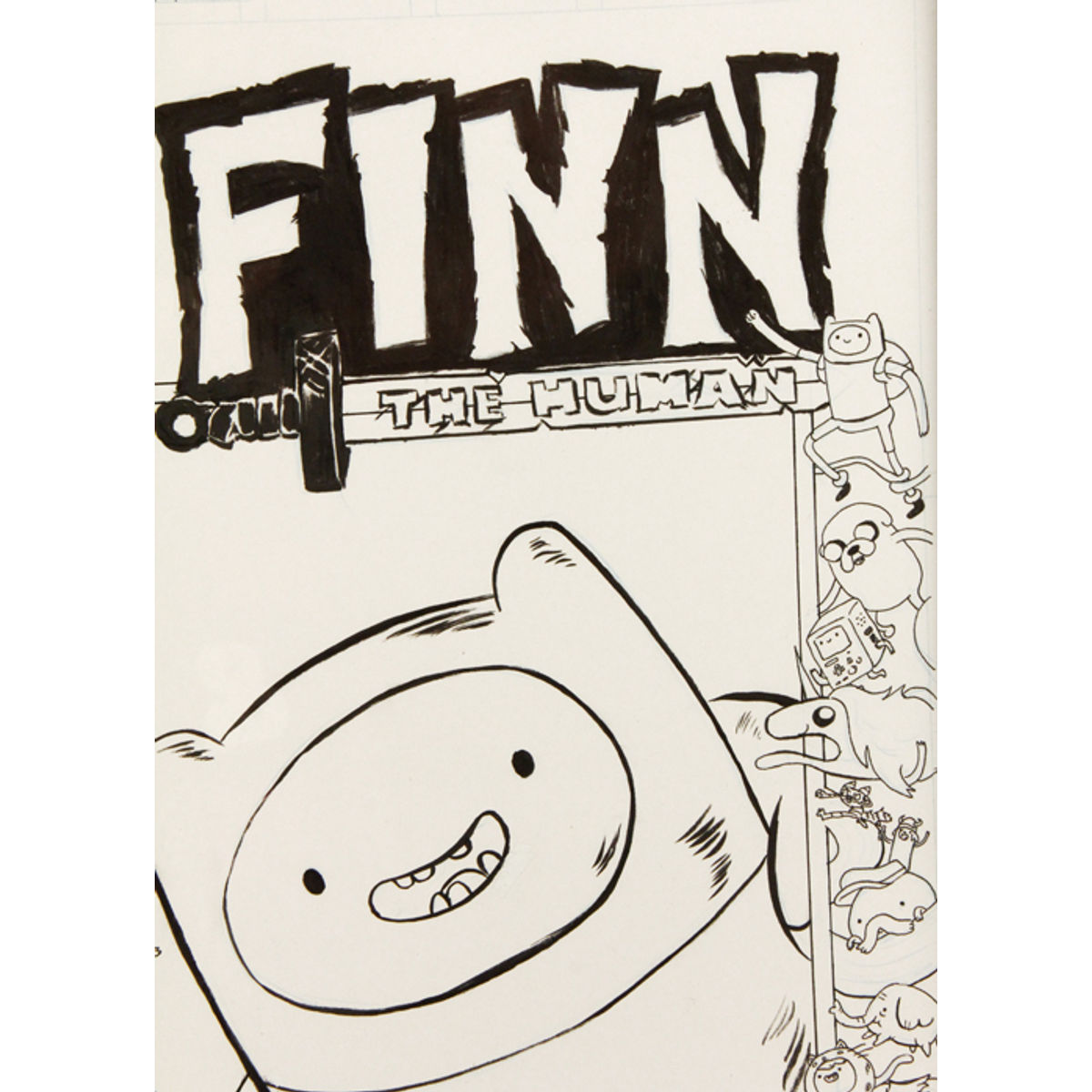 FINN THE HUMAN
