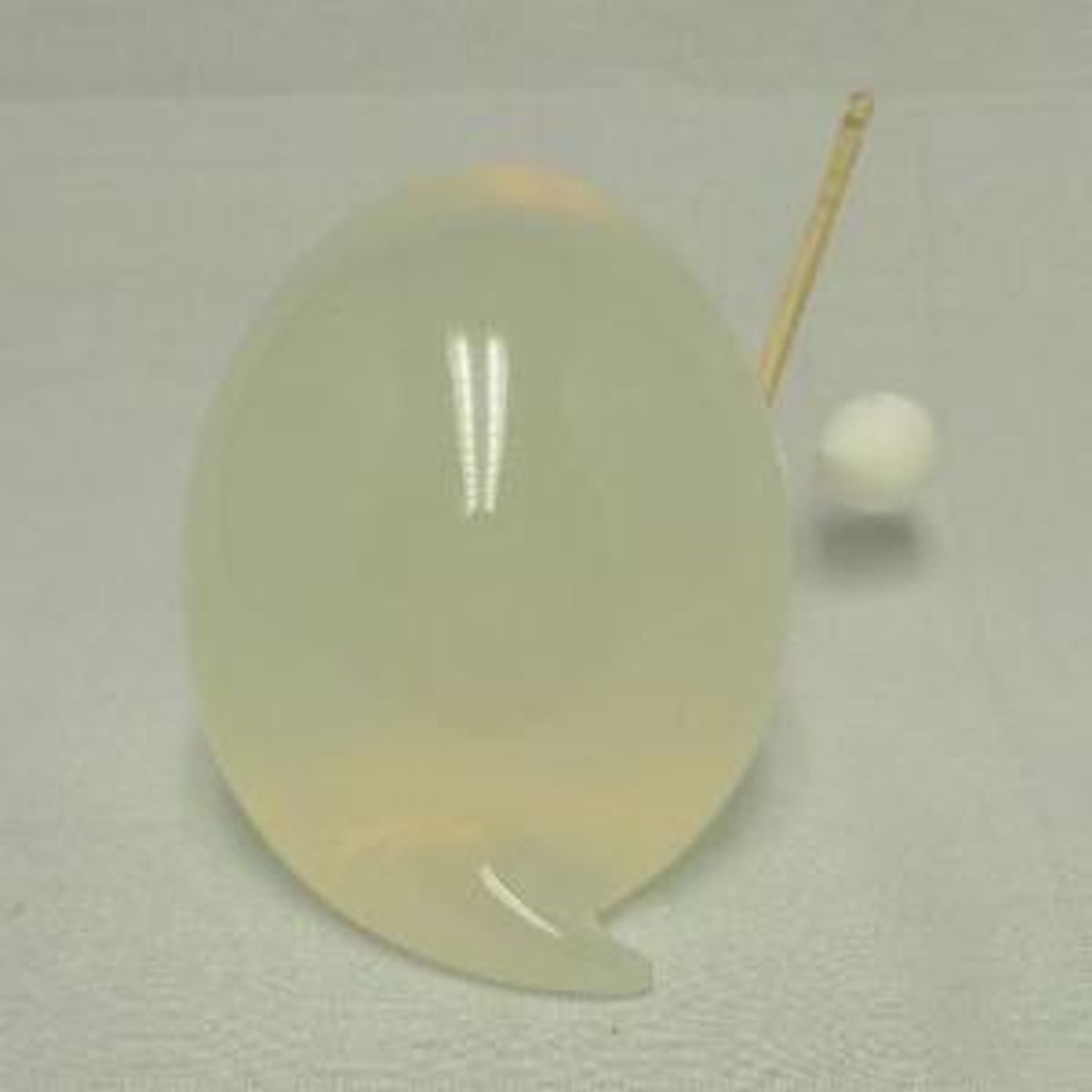 ghost Maurice (gloss Yu)