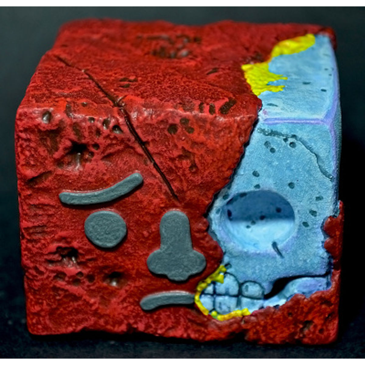 Tofu Head Cheese red