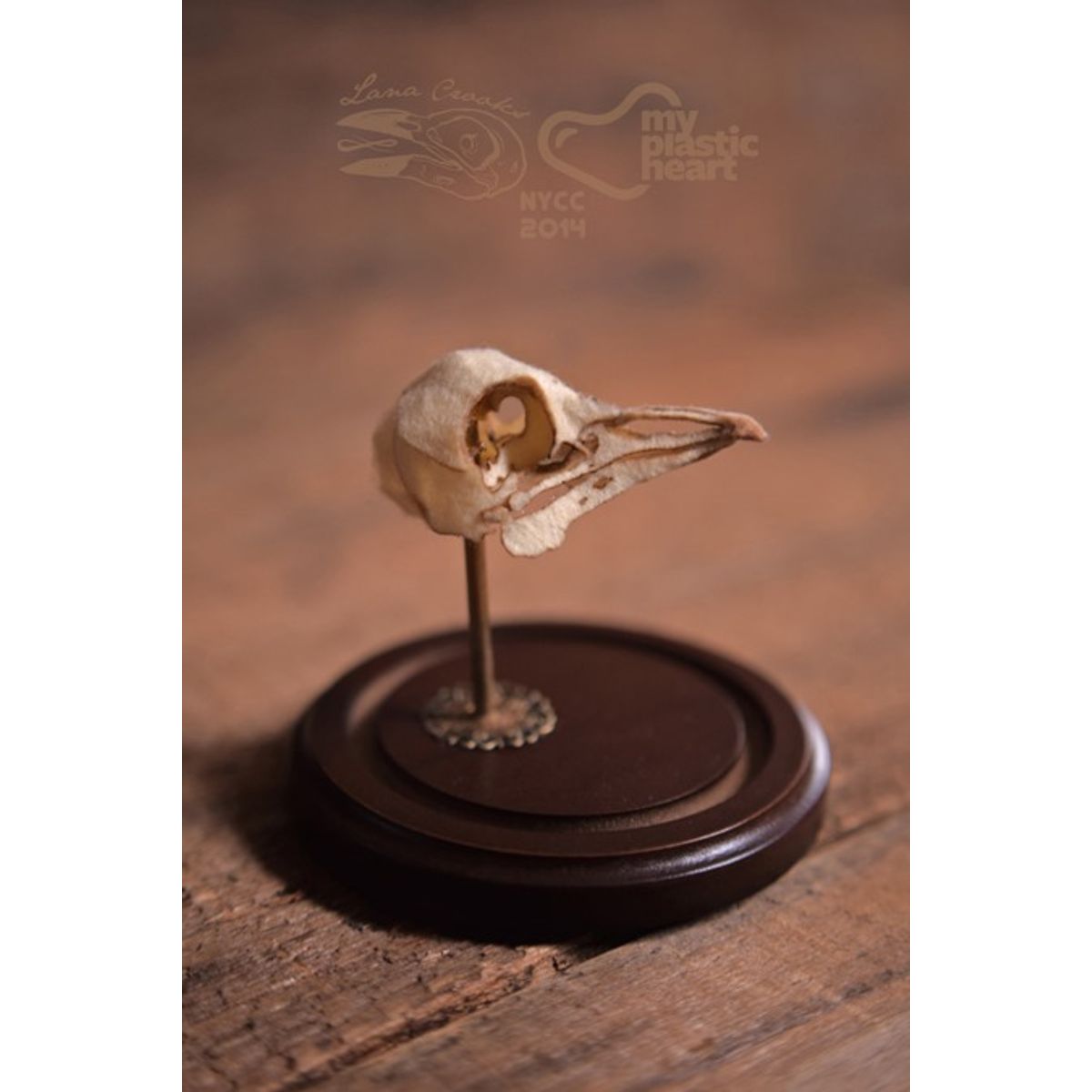 Rattus Volatilis - bone