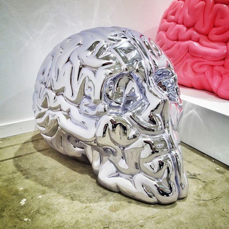 Chrome Skull Brain by Emilio Garcia