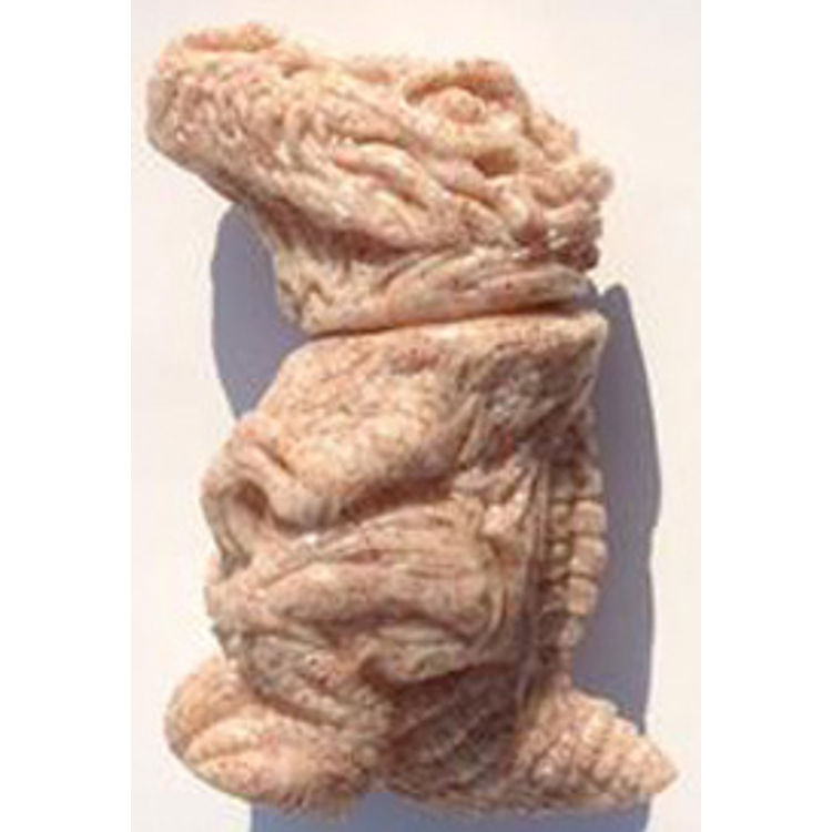 Rancid Raptor mini - flesh by James Groman