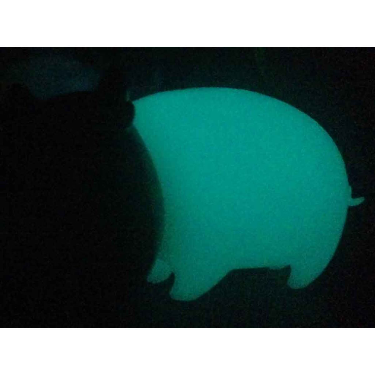 Cattle pig ORANGE