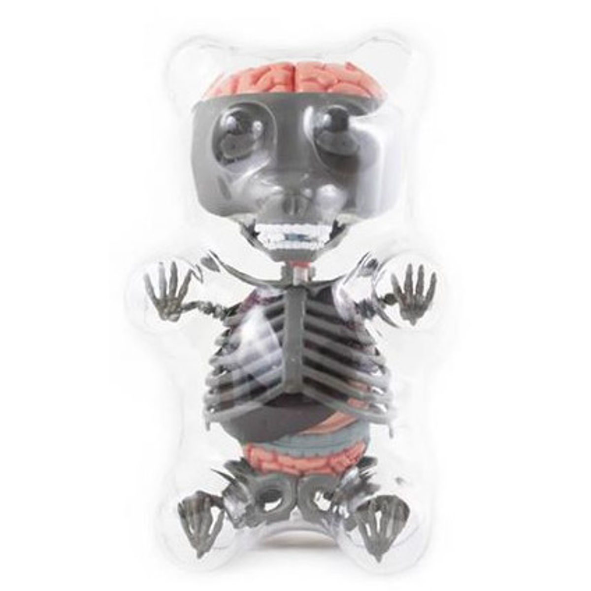Gummi Bear Anatomy Puzzle Toy - Grey