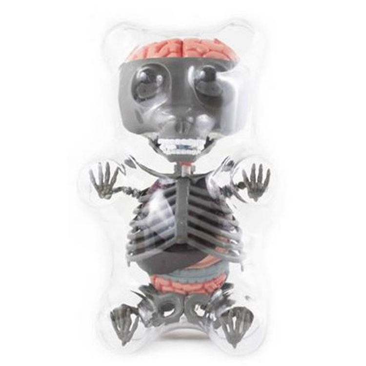 Gummi Bear Anatomy Puzzle Toy - Grey by Jason Freeny
