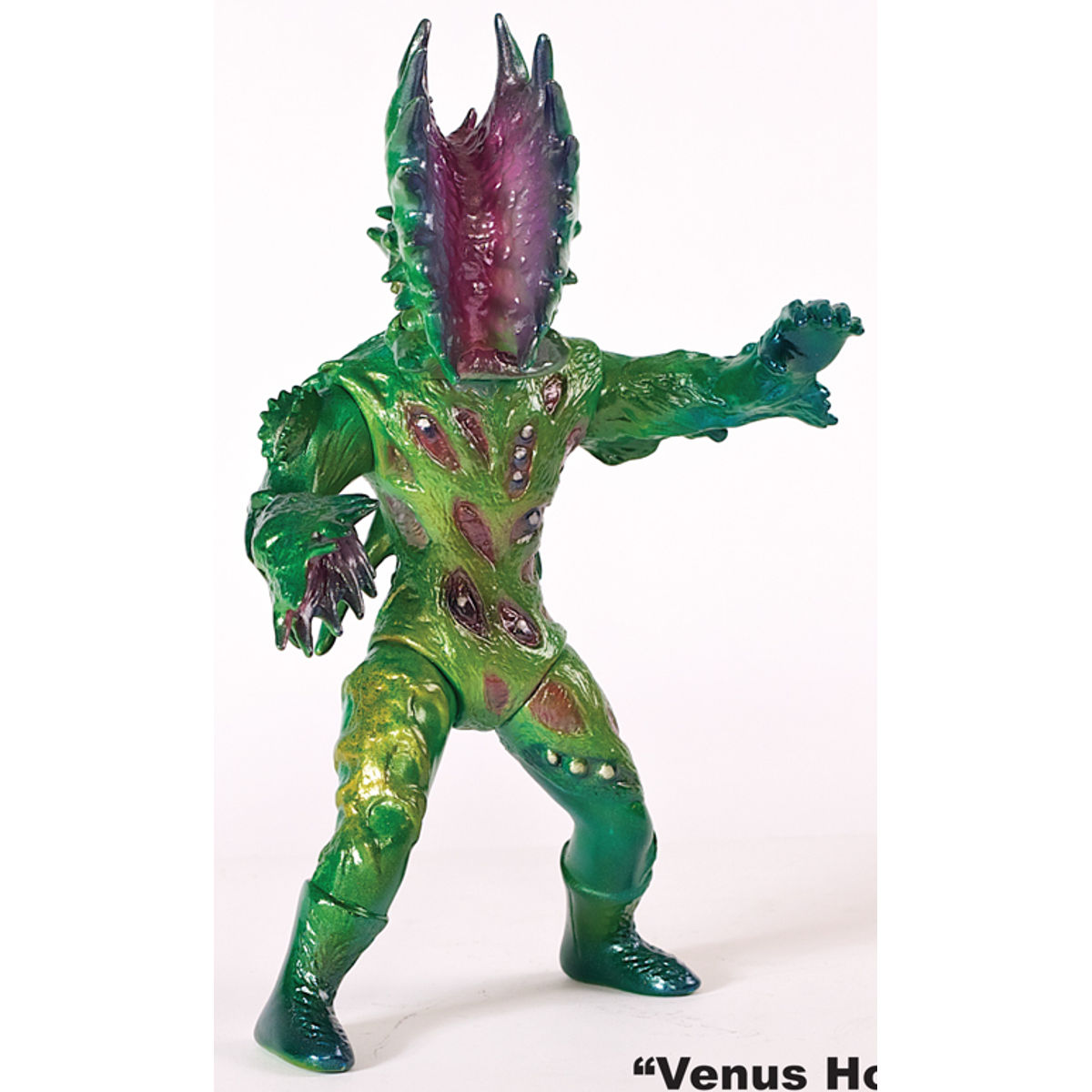 "Venus Fly Trap" Ninjen