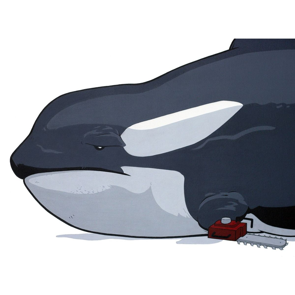 Killer Whale