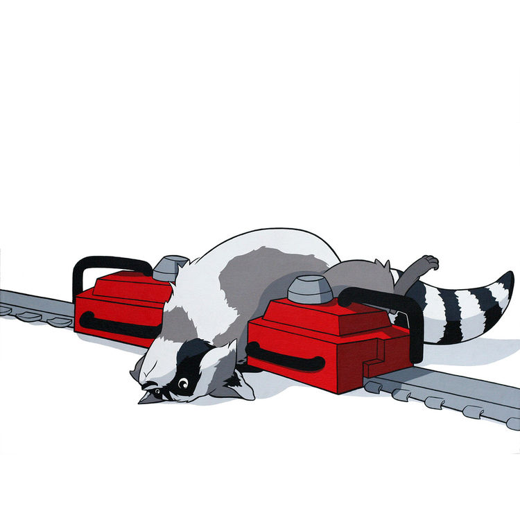 Raccoon by Eric Pause