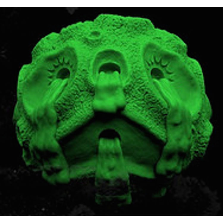 Sofubi Oozeball: OG "ooze-it" Green by Zectron