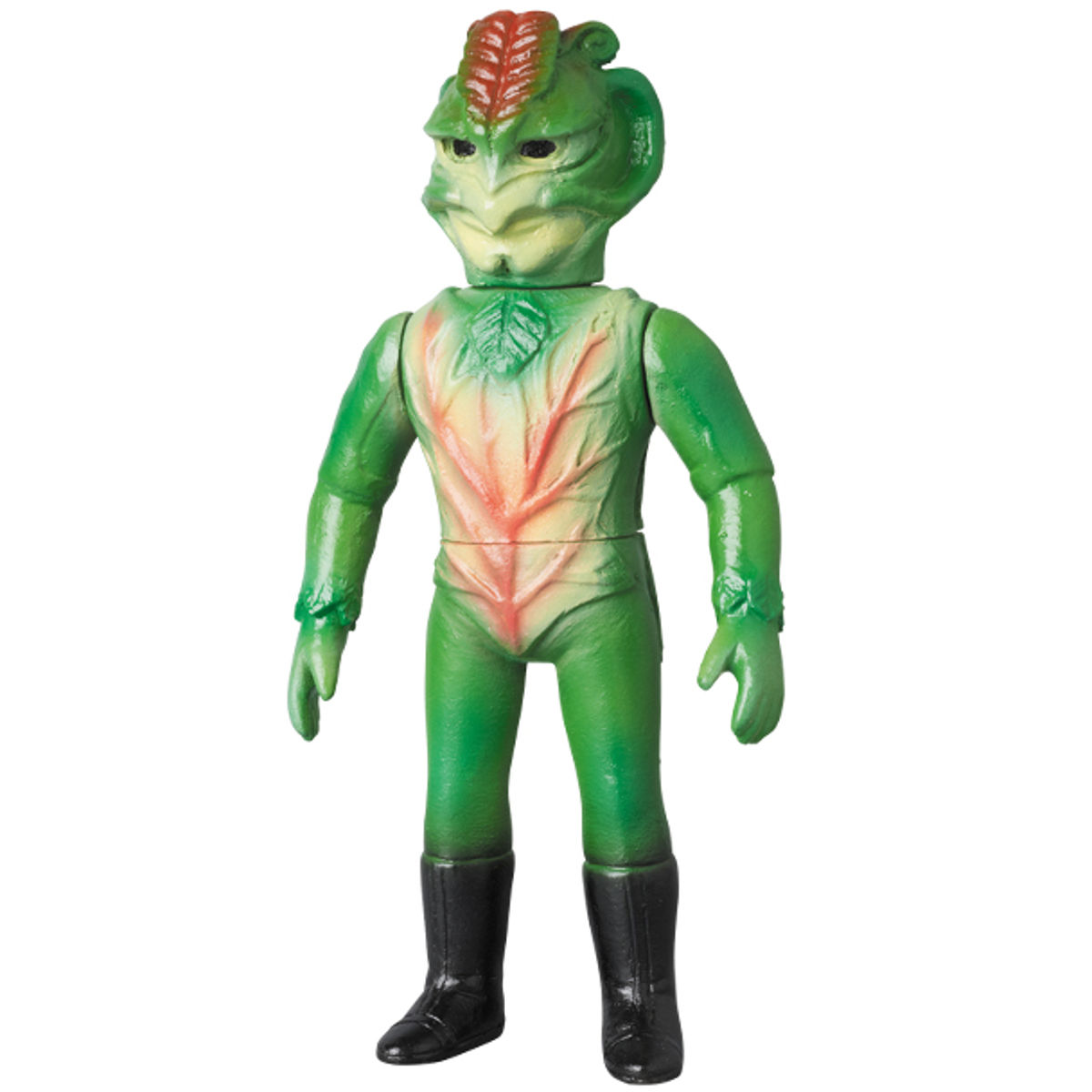 Sarracenia middle size