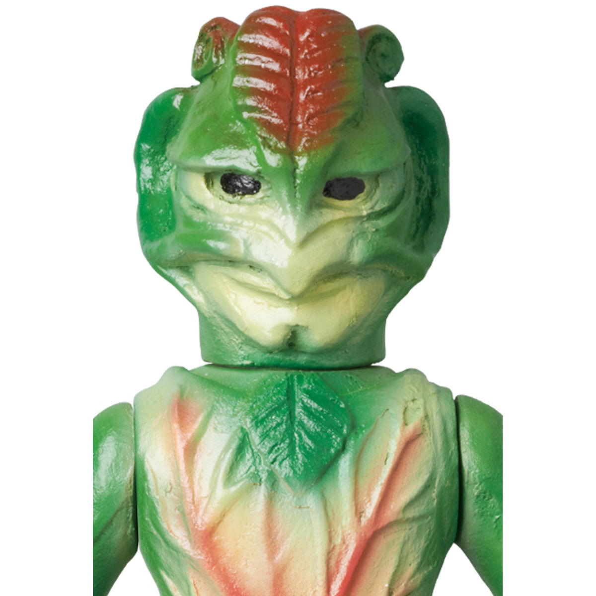 Sarracenia middle size