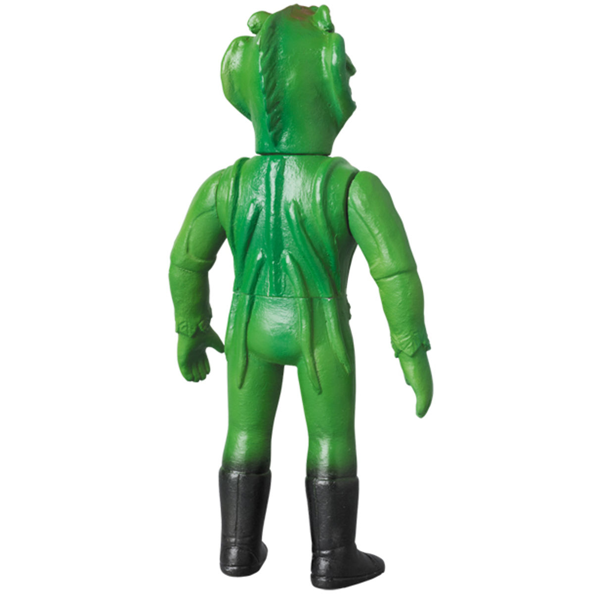 Sarracenia middle size