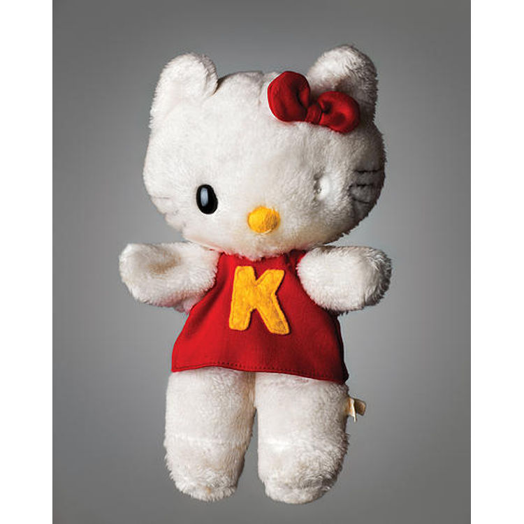Much Loved Kitty by Mark Nixon