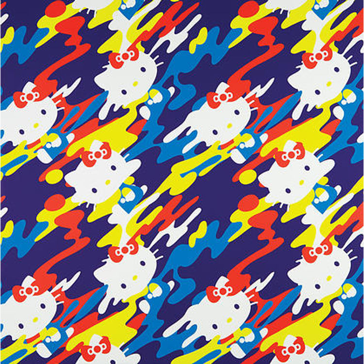 Kitty Camo by ODDJOB