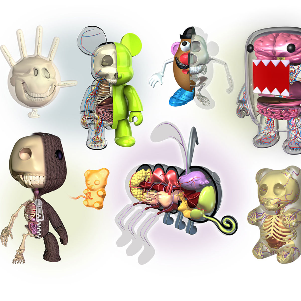 Digital Dissection Montage