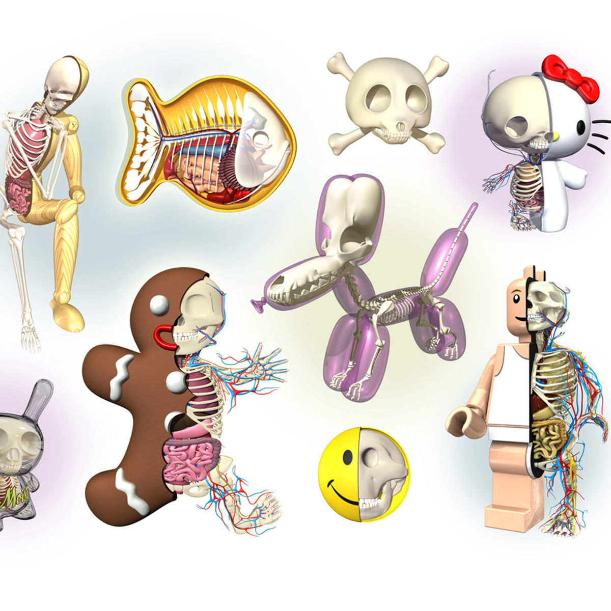 Digital Dissection Montage