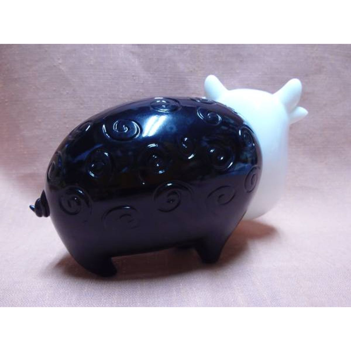 Cattle pig Black
