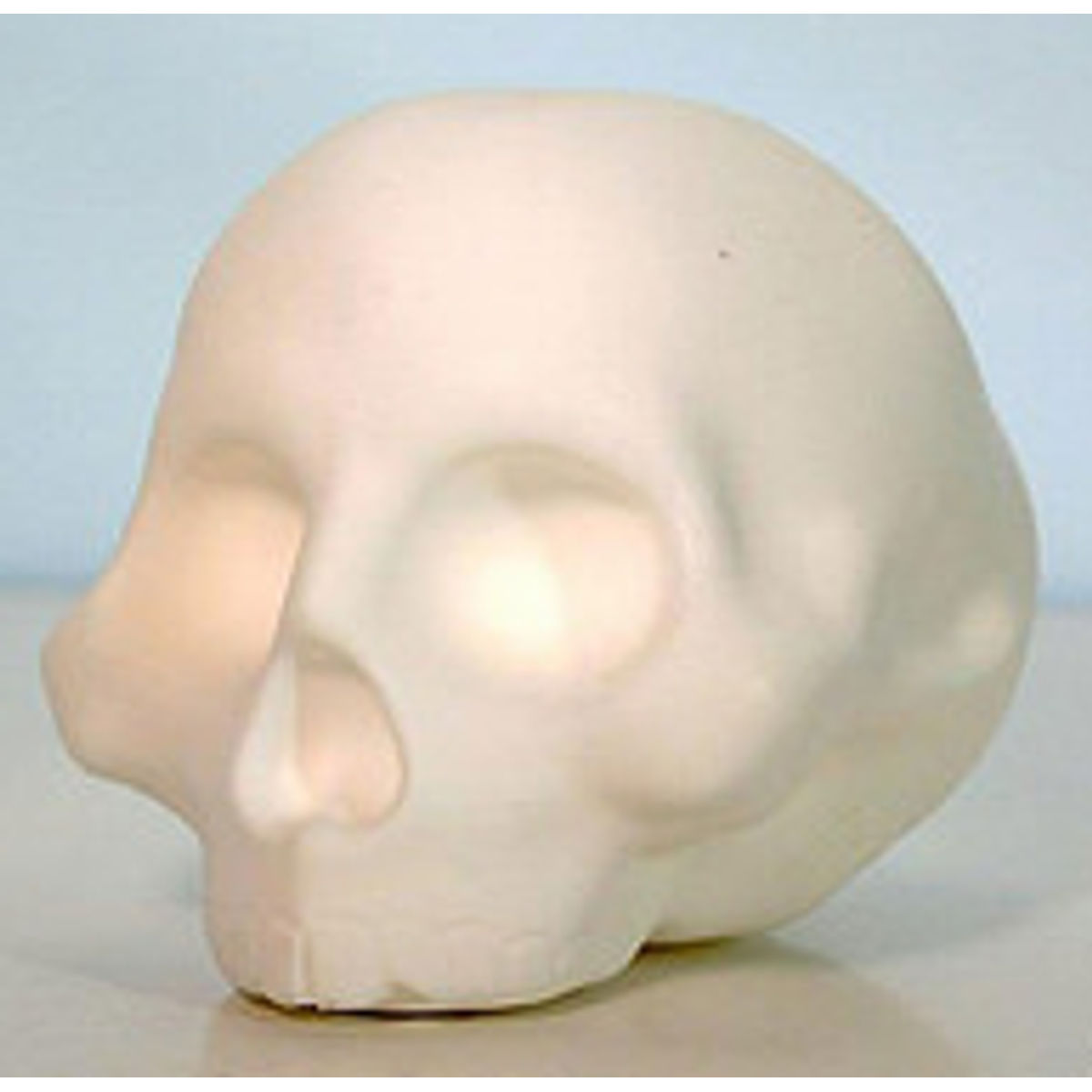 D.I.Y.F.S (do it your fucking self) skull specimen