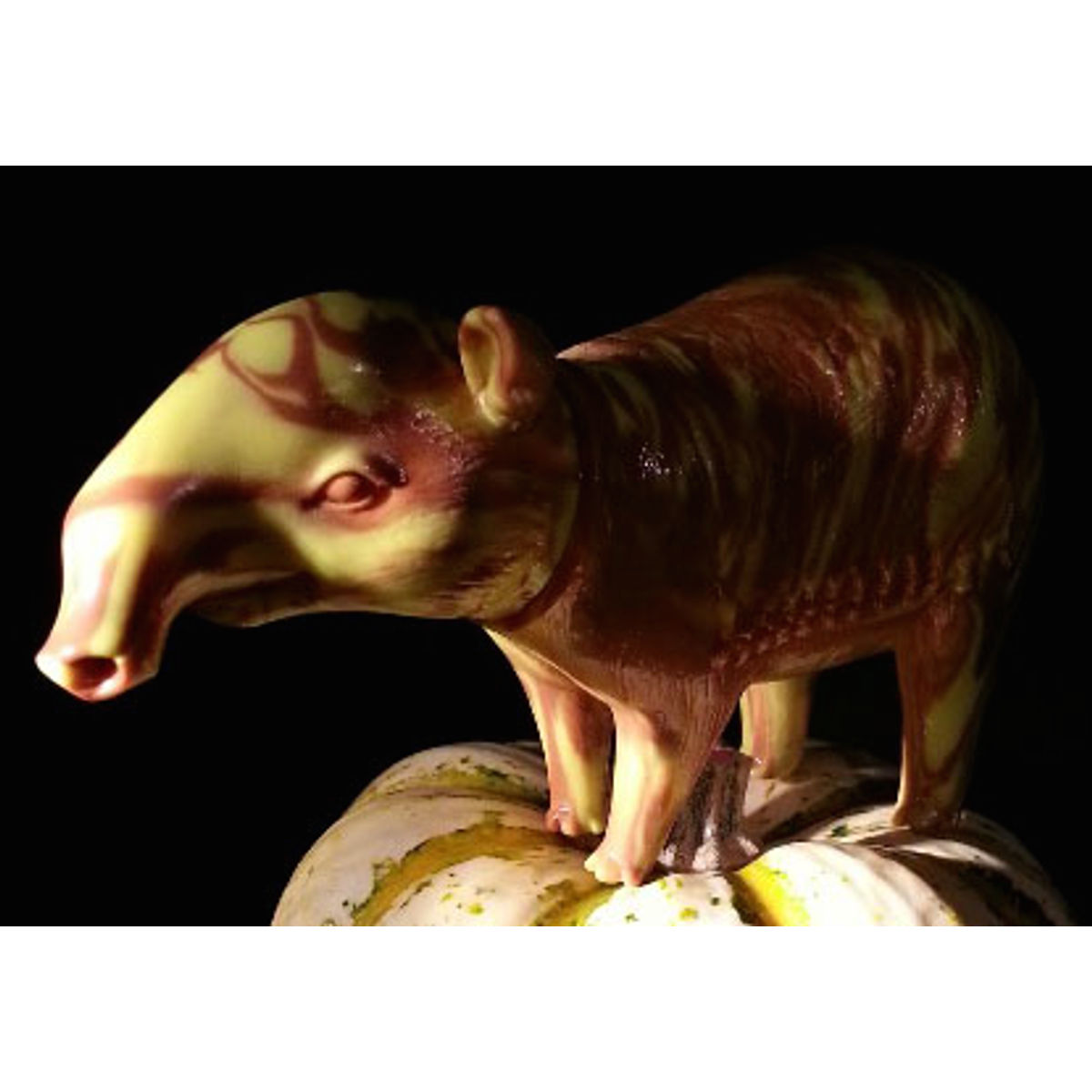 “Banana Choco” Miki Dewey the Tapir