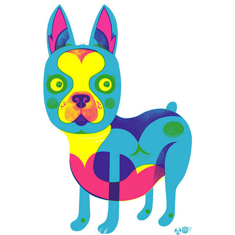 Boston Terrier (CMY) by The Little Friends of Printmaking