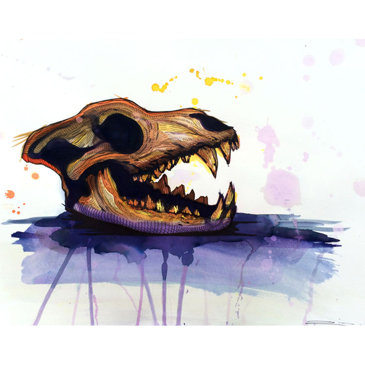 Mejico by Dino Nemec