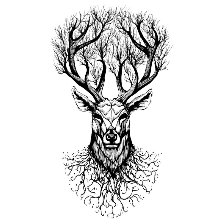 Arbol by Dino Nemec