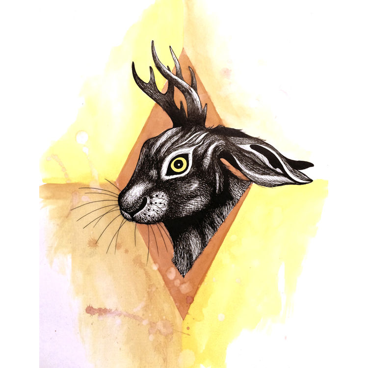 Los Conejos by Dino Nemec
