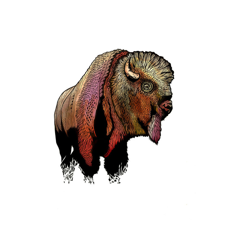 Bisonte by Dino Nemec